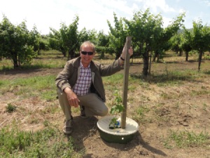 Pieter Hoff, who is sitting next to his invention the Groasis Waterboxx. In the Groasis Waterboxx is a support pole installed, who supports the tree during the growth.
