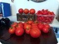 13. 20170727 All this harvest is from the same day from two plants that have been growing in the Waterboxx plant cocoon. 20 Big Beef tomatoes and 100 Juliet s  in the container 