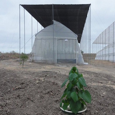 Planter des arbres d'une manière efficace en eau en Équateur avec le seau intelligent 'Waterboxx plant cocoon'